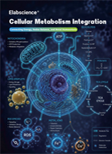 Cellular Metabolism Integration (2607)